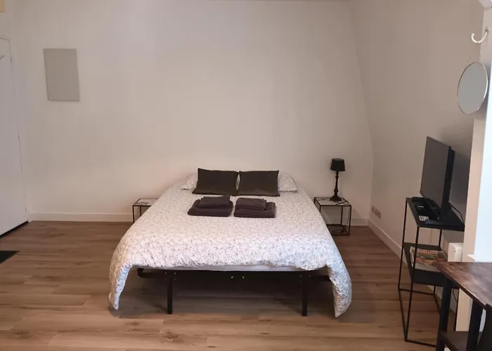 213 Au Coeur Du Campus De Belle Beille Lägenhet