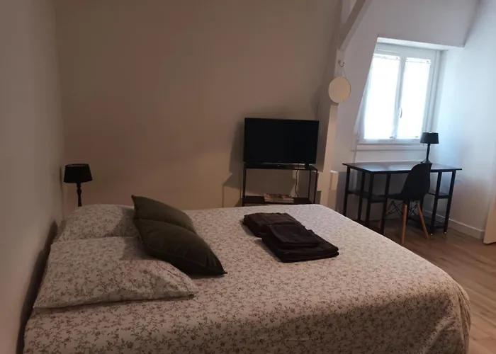 213 Au Coeur Du Campus De Belle Beille *